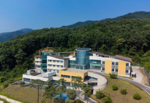 대경대학교 브랜딩